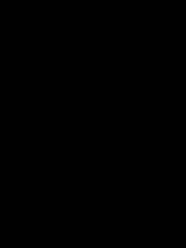 Измельчитель SH-350D1